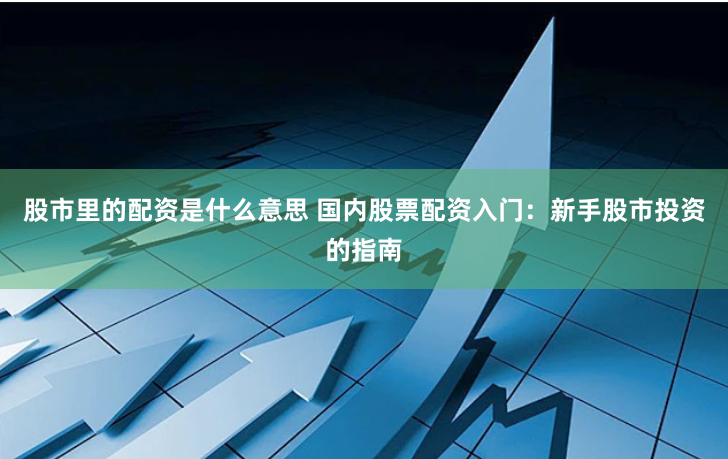 股市里的配资是什么意思 国内股票配资入门：新手股市投资的指南