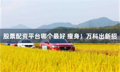 股票配资平台哪个最好 瘦身！万科出新招