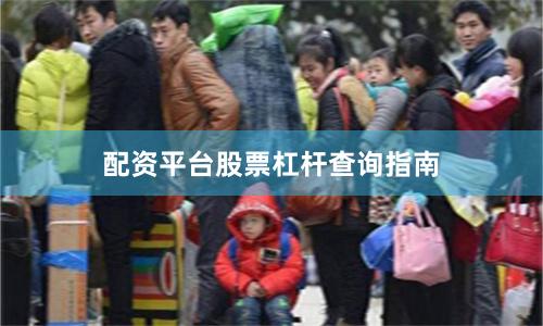 配资平台股票杠杆查询指南